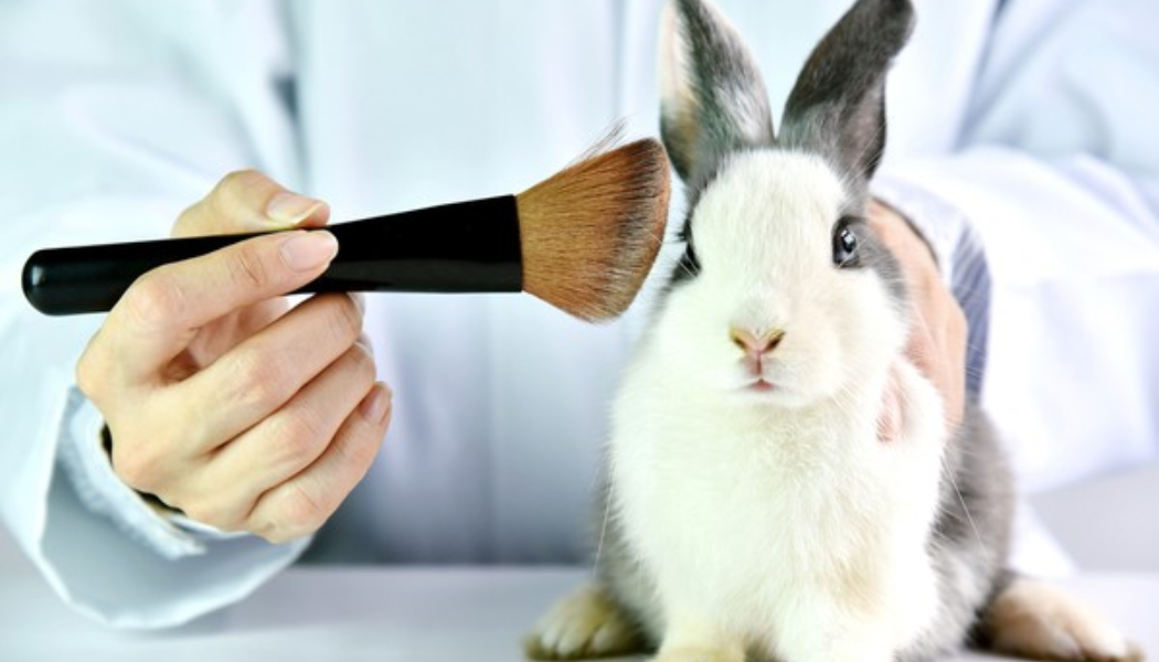 Mac makeup animal testing